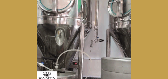 A História da Cerveja e os Benefícios das Cervejas Artesanais